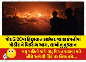 પોર GIDCમાં હિંદુસ્તાન ફાઇબર ગ્લાસ કંપનીમાં મોડીરાત્રે વિકરાળ આગ, લાખોનું નુકસાન