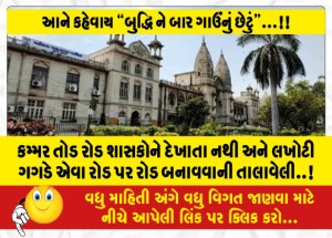 કમ્મર તોડ રોડ શાસકોને દેખાતા નથી અને લખોટી ગગડે એવા રોડ પર રોડ બનાવવાની તાલાવેલી..!