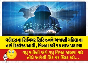 વડોદરાના સિનિયર સિટિઝનને અજાણી મહિલાના નામે રિક્વેસ્ટ આવી, મિત્રતા કરી 95 લાખ પડાવ્યા