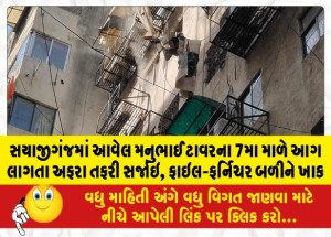 સયાજીગંજમાં આવેલ મનુભાઈ ટાવરના 7મા માળે આગ લાગતા અફરા તફરી સર્જાઇ, ફાઇલ-ફર્નિચર બળીને ખાક