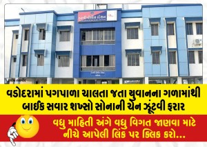 વડોદરામાં પગપાળા ચાલતા જતા યુવાનના ગળામાંથી બાઈક સવાર શખ્સો સોનાની ચેન ઝૂંટવી ફરાર
