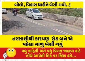 તરસાલી થી કારવણ  રોડ બને એ પહેલા નાળુ બેસી ગયું