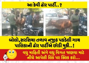 બોલો,સરસિયા તળાવ નજીક પકડેલી ગાય પાલિકાની ઢોર પાર્ટીએ છોડી મુકી..!