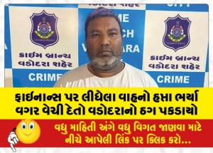 ફાઇનાન્સ પર લીધેલા વાહનો હપ્તા ભર્યા વગર વેચી દેતો વડોદરાનો ઠગ પકડાયો