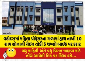 વડોદરામાં મહિલા પ્રોફેસરના ગળામાં હાથ નાખી 10 ગ્રામ સોનાની ચેઇન તોડી 3 શખ્સો બાઇક પર ફરાર