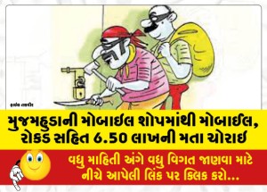 મુજમહુડાની મોબાઇલ શોપમાંથી મોબાઈલ, રોકડ સહિત 6.50 લાખની મતા ચોરાઇ