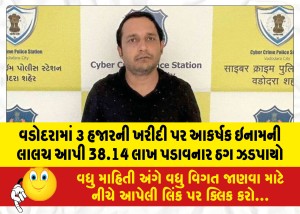 વડોદરામાં ૩ હજારની ખરીદી પર આકર્ષક ઇનામની લાલચ આપી 38.14 લાખ પડાવનાર ઠગ ઝડપાયો