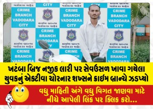 ખટંબા બ્રિજ નજીક લારી પર સેવઉસળ ખાવા ગયેલા યુવકનું એક્ટીવા ચોરનાર શખ્સને ક્રાઇમ બ્રાન્ચે ઝડપ્યો