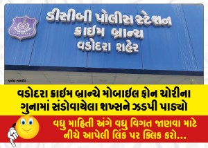વડોદરા ક્રાઇમ બ્રાન્ચે મોબાઇલ ફોન ચોરીના ગુનામાં સંડોવાયેલા શખ્સને ઝડપી પાડ્યો
