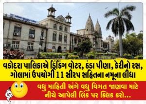 વડોદરા પાલિકાએ ડ્રિંકિંગ વોટર, ઠંડા પીણા, કેરીનો રસ, ગોલામાં ઉપયોગી 11 સીરપ સહિતના નમૂના લીધા