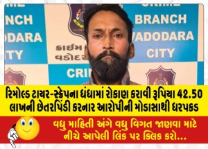 રિમોલ્ડ ટાયર-સ્ક્રેપના ધંધામાં રોકાણ કરાવી રૂપિયા 42.50 લાખની છેતરપિંડી કરનાર આરોપીની મોડાસાથી ધરપકડ