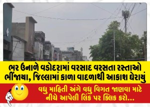 ભર ઉનાળે વડોદરામાં વરસાદ વરસતા રસ્તાઓ ભીંજાયા, જિલ્લામાં કાળા વાદળાથી આકાશ ઘેરાયું