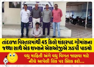 તાંદલજા વિસ્તારમાંથી 45 કિલો શંકાસ્પદ ગૌમાંસનો જથ્થા સાથે એક શખ્સને એસઓજીએ ઝડપી પાડયો
