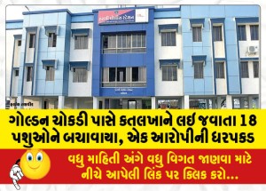 ગોલ્ડન ચોકડી પાસે કતલખાને લઇ જવાતા 18 પશુઓને બચાવાયા, એક આરોપીની ધરપકડ