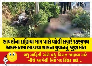 સાવલીના રાણિયા ગામ પાસે વહેલી સવારે રહસ્યમય અકસ્માતમાં ભાદરવા ગામના યુવાનનું કરુણ મોત