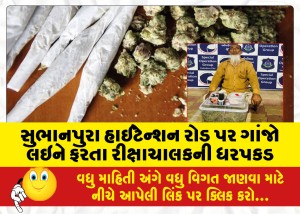 સુભાનપુરા હાઈટેન્શન રોડ પર ગાંજો લઇને ફરતા રીક્ષાચાલકની ધરપકડ