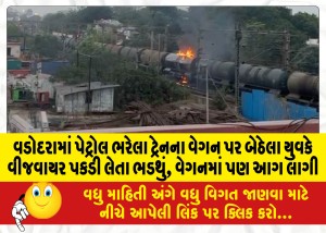 વડોદરામાં પેટ્રોલ ભરેલા ટ્રેનના વેગન પર બેઠેલા યુવકે વીજવાયર પકડી લેતા ભડથું, વેગનમાં પણ આગ લાગી