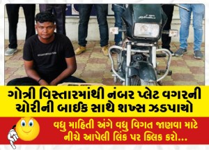 ગોત્રી વિસ્તારમાંથી નંબર પ્લેટ વગરની ચોરીની બાઈક સાથે શખ્સ ઝડપાયો