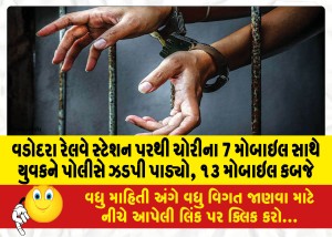 MailVadodara.com - Police-nabbed-youth-with-7-stolen-mobiles-from-Vadodara-railway-station-seized-13-mobiles