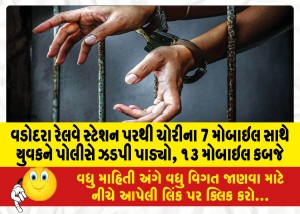 વડોદરા રેલવે સ્ટેશન પરથી ચોરીના 7 મોબાઇલ સાથે યુવકને પોલીસે ઝડપી પાડ્યો, ૧૩ મોબાઇલ કબજે