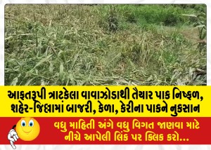 MailVadodara.com - Ready-crops-failed-due-to-disastrous-storm-damage-to-millet-banana-mango-crops-in-city-district