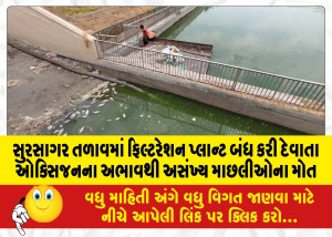 MailVadodara.com - Due-to-lack-of-oxygen-due-to-shutdown-of-filtration-plant-in-Sursagar-Lake-numerous-fishes-die