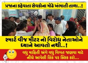સ્માર્ટ વીજ મીટર નો વિરોધ નેતાઓને ધ્યાને આવતો નથી..!