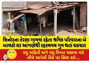 શિનોરના તેરસા ગામમાં રહેતા શ્રમિક પરિવારના બે બાળકો ઘર આંગણેથી રહસ્યમય ગુમ થતાં ચકચાર