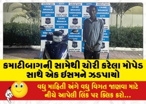 કમાટીબાગની સામેથી ચોરી કરેલા મોપેડ સાથે એક ઇસમને ઝડપાયો
