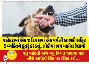 વડોદરામાં એક જ દિવસમાં એક વર્ષની બાળકી સહિત 5 વ્યક્તિને કૂતરું કરડ્યું, લોકોમાં ભય માહોલ ફેલાયો