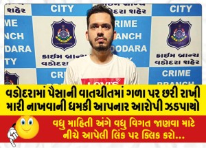 વડોદરામાં પૈસાની વાતચીતમાં ગળા પર છરી રાખી મારી નાખવાની ધમકી આપનાર આરોપી ઝડપાયો