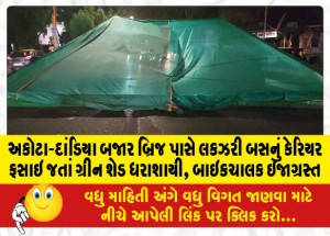 અકોટા-દાંડિયા બજાર બ્રિજ પાસે લકઝરી બસનું કેરિયર ફસાઇ જતાં ગ્રીન શેડ ધરાશાયી, બાઇકચાલક ઇજાગ્રસ્ત