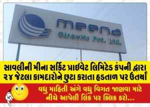 સાવલીની મીના સર્કિટ પ્રાઇવેટ લિમિટેડ કંપની દ્વારા ૨૪ જેટલા કામદારોને છુટા કરાતા હડતાળ પર ઉતર્યાં