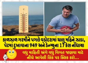 કાળઝાળ ગરમીને પગલે વડોદરામાં ચાલુ મહિને ઝાડા, પેટમાં દુખાવાના 949 અને ડેન્ગ્યુના 17 કેસ નોંધાયા