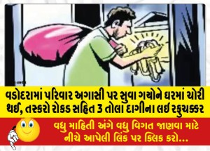 વડોદરામાં પરિવાર અગાસી પર સુવા ગયોને ઘરમાં ચોરી થઈ, તસ્કરો રોકડ સહિત 3 તોલા દાગીના લઇ રફુચક્કર