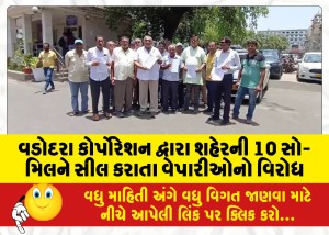 વડોદરા કોર્પોરેશન દ્વારા શહેરની 10 સો-મિલને સીલ કરાતા વેપારીઓનો વિરોધ, મ્યુનિસિપલ કમિશનરને રજૂઆત કરી