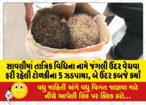 સાવલીમાં તાત્રિક વિધિના નામે જંગલી ઉંદર વેચવા ફરી રહેલી ટોળકીના 5 ઝડપાયા, બે ઉંદર કબજે કર્યાં