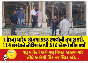 શહેરના ચારેય ઝોનમાં 358 સ્થળોની તપાસ કરી, 114 સંસ્થાને નોટીસ આપી 316 એકમો સીલ કર્યાં