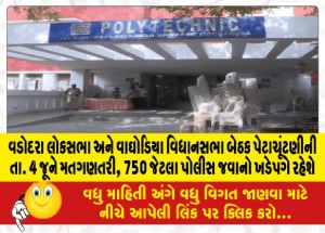 વડોદરા લોકસભા અને વાઘોડિયા વિધાનસભા બેઠક પેટાચૂંટણીની તા. 4 જૂને મતગણતરી, 750 જેટલા પોલીસ જવાનો ખડેપગે રહેશે