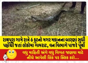 રાયપુરા ગામે રાત્રે 6 ફૂટનો મગર મકાનના બારણાં સુધી પહોંચી જતાં લોકોમાં ગભરાટ, વન વિભાગે પાંજરે પૂર્યો