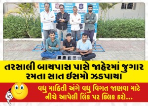 તરસાલી બાયપાસ પાસે જાહેરમાં જુગાર રમતા સાત ઇસમો ઝડપાયા