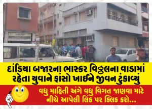 દાંડિયા બજારના ભાસ્કર વિઠ્ઠલના વાડામાં રહેતા યુવાને ફાંસો ખાઈને જીવન ટુંકાવ્યું