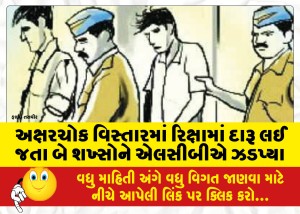 અક્ષરચોક વિસ્તારમાં રિક્ષામાં દારૂ લઈ જતા બે શખ્સોને એલસીબીએ ઝડપ્યા