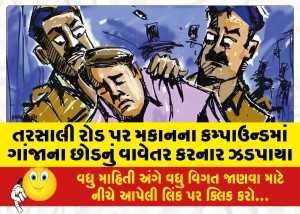તરસાલી રોડ પર મકાનના કમ્પાઉન્ડમાં ગાંજાના છોડનું વાવેતર કરનાર ઝડપાયો