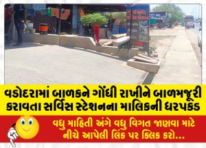 વડોદરામાં બાળકને ગોંધી રાખીને બાળમજૂરી કરાવતા સર્વિસ સ્ટેશનના માલિકની ધરપકડ