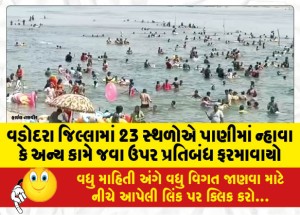 વડોદરા જિલ્લામાં 23 સ્થળોએ પાણીમાં ન્હાવા કે અન્ય કામે જવા ઉપર પ્રતિબંધ ફરમાવાયો