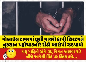 મોબાઇલ ટાવરમાં ઘૂસી વાયરો કાપી સિસ્ટમને નુકસાન પહોંચાડનાર રીઢો આરોપી ઝડપાયો