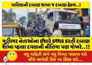 મુઠ્ઠીભર નેતાઓના ઈશારે કથ્થક કરતી દબાણ શાખા વ્હાલા દવલાની નીતિમા પણ મોખરે..!!