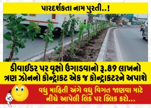 ડીવાઈડર પર વૃક્ષો ઉગાડવાનો રૂ.89 લાખનો ત્રણ ઝોનનો કોન્ટ્રાકટ એક જ કોન્ટ્રાકટરને અપાશે