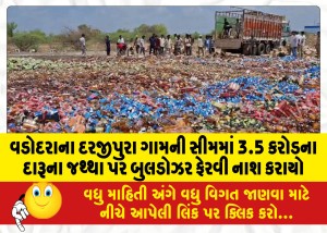 વડોદરાના દરજીપુરા ગામની સીમમાં 3.5 કરોડના દારૂના જથ્થા પર બુલડોઝર ફેરવી નાશ કરાયો